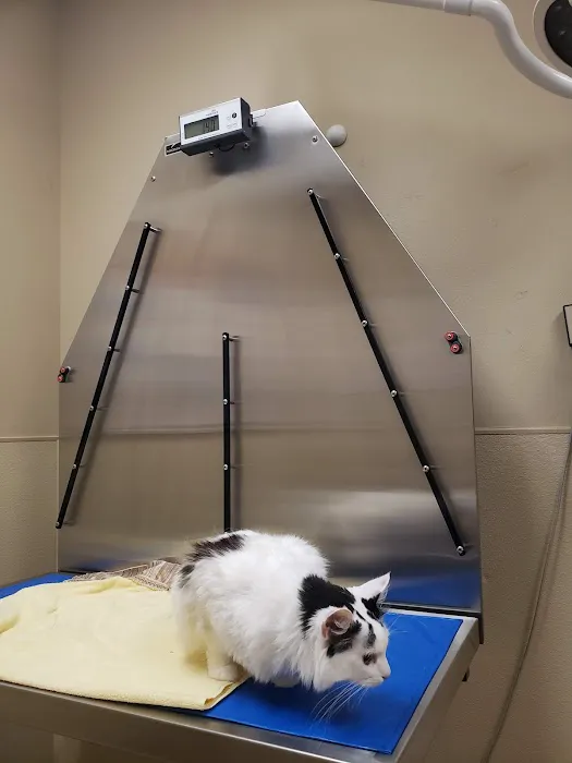 Animal Alliance of Galveston County 4