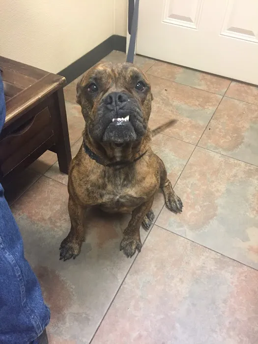 Animal Alliance of Galveston County 6