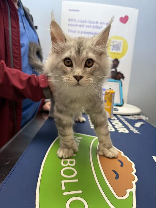 Neighborhood Veterinary Centers 6