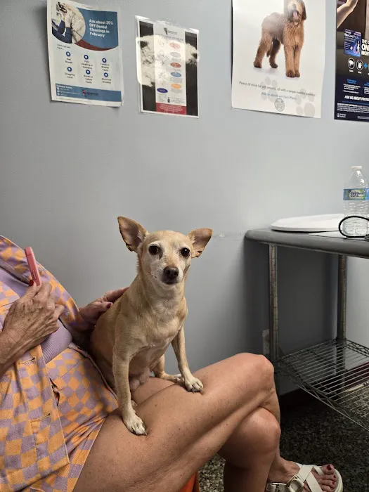Neighborhood Veterinary Centers 2