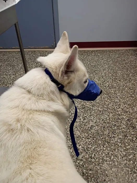 Neighborhood Veterinary Centers 3