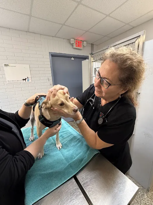 Neighborhood Veterinary Centers 8