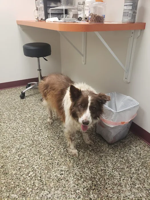 Neighborhood Veterinary Centers 9