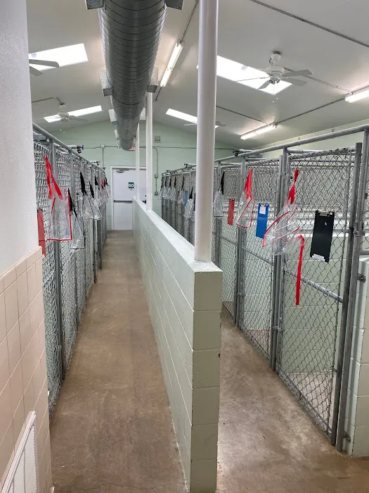 Tender Paws Animal Hospital 4