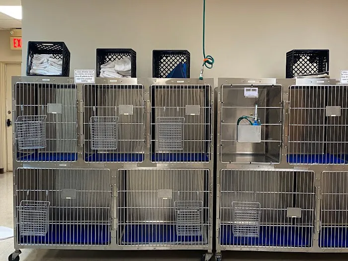 Tender Paws Animal Hospital 10