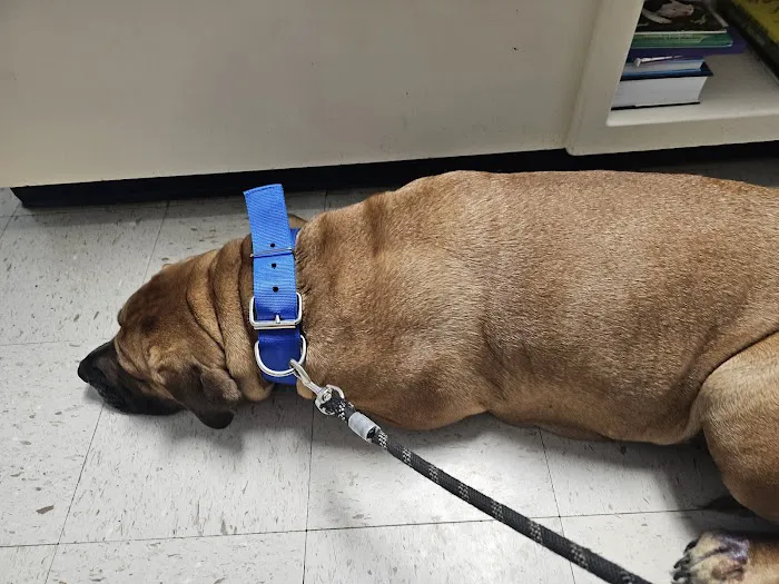 Tender Paws Animal Hospital 7