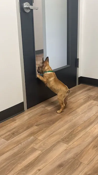 Fish Creek Animal Hospital 1