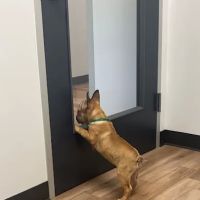 Fish Creek Animal Hospital ico