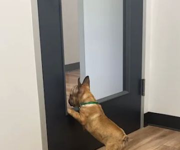 Fish Creek Animal Hospital