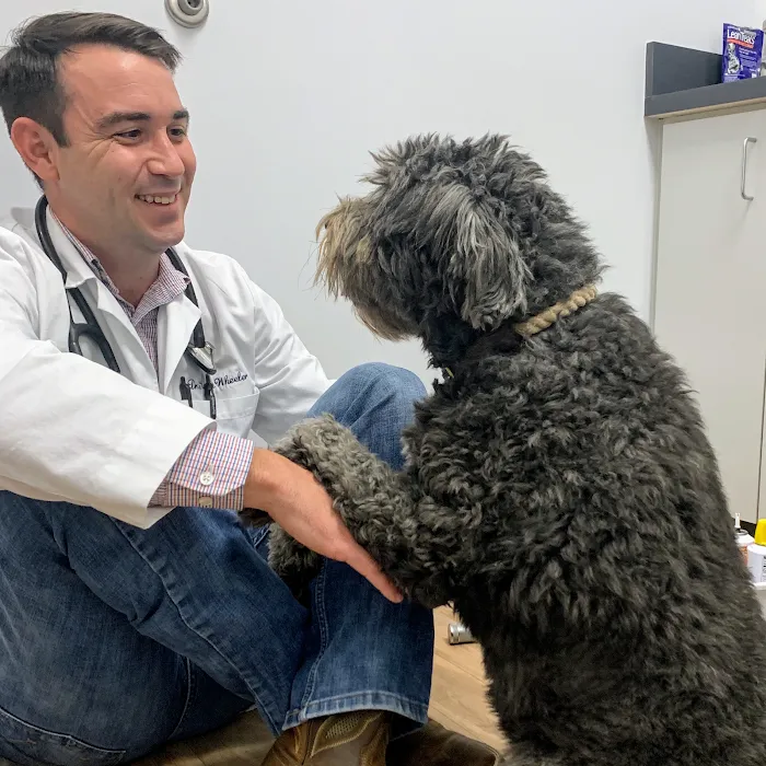Fish Creek Animal Hospital 10