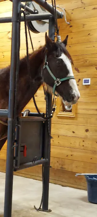 Woodforest Animal Hospital 4