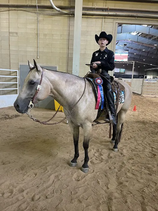 Lone Star Equine Sports Medicine 3