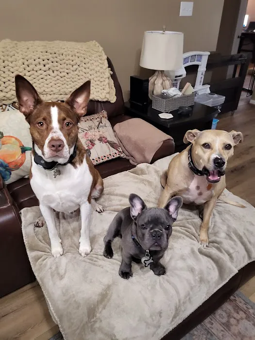 Magnolia Animal Clinic 5