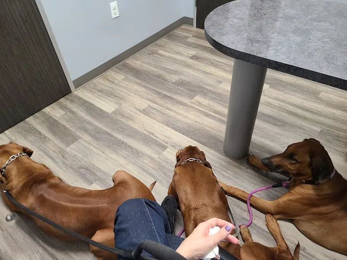 Magnolia Animal Clinic 7