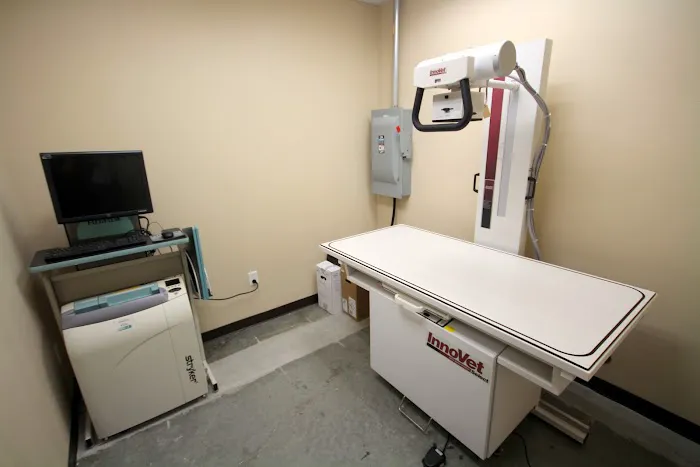 Lighthouse Veterinary Clinic 6