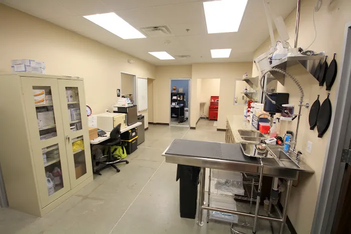 Lighthouse Veterinary Clinic 7