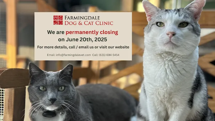 Farmingdale Dog & Cat Clinic 9