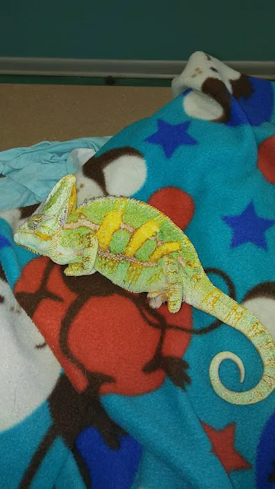 Island Exotic Veterinary Care 10