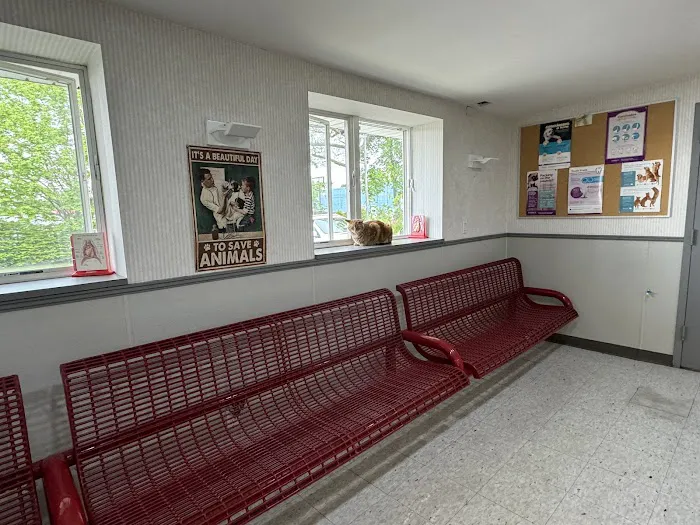 Animal Care Center of Huntington 1