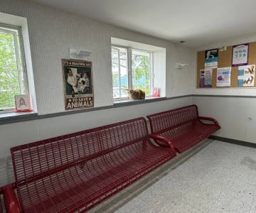 Animal Care Center of Huntington