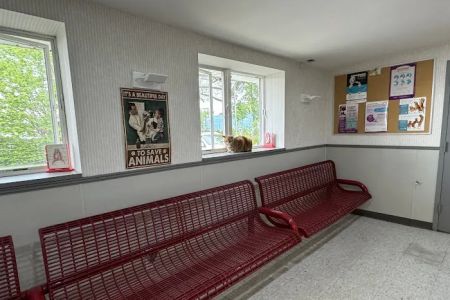 Animal Care Center of Huntington