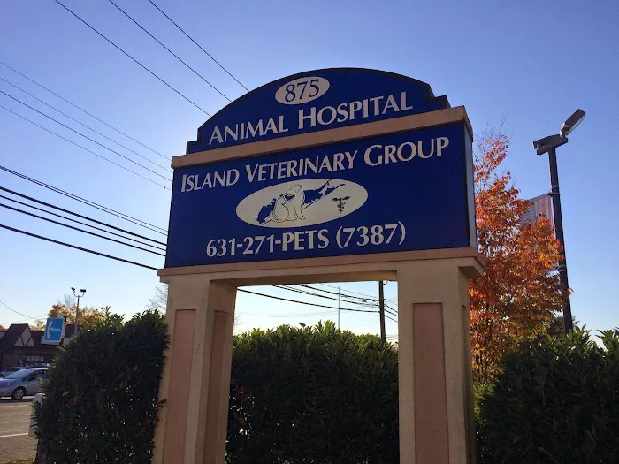 Island Veterinary Group 10
