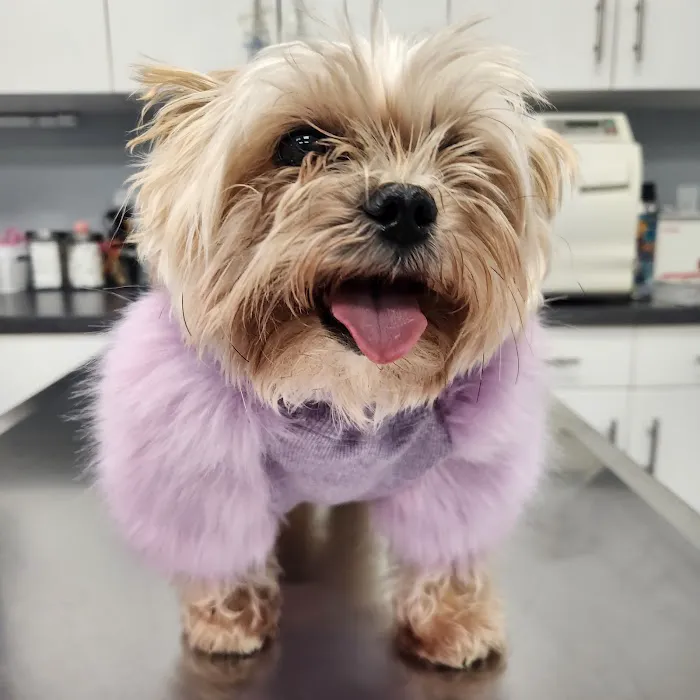 Huntington Village Animal Hospital 1