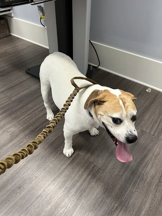 Huntington Village Animal Hospital 2