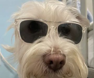 West Hills North Veterinary Clinic