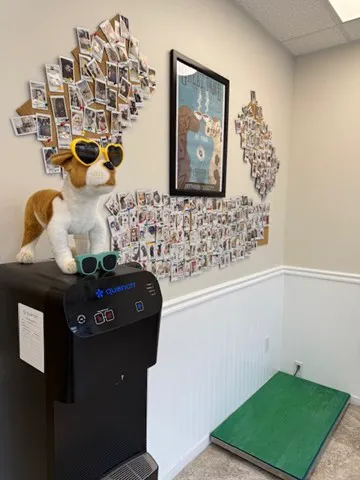 West Hills North Veterinary Clinic 2