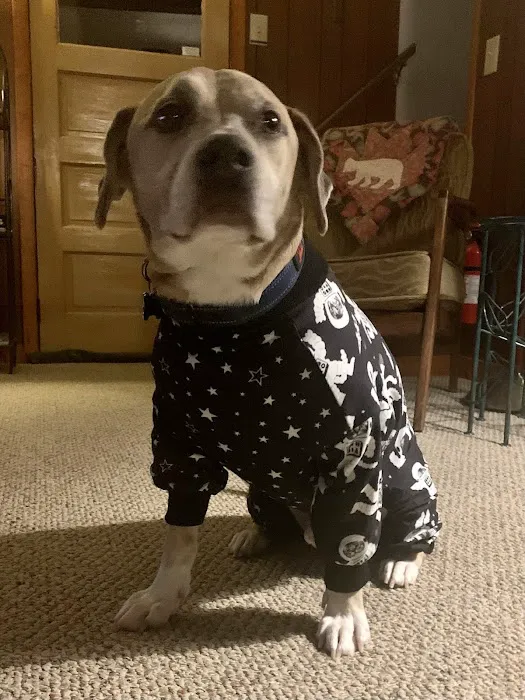 Fort Hill Animal Hospital 1