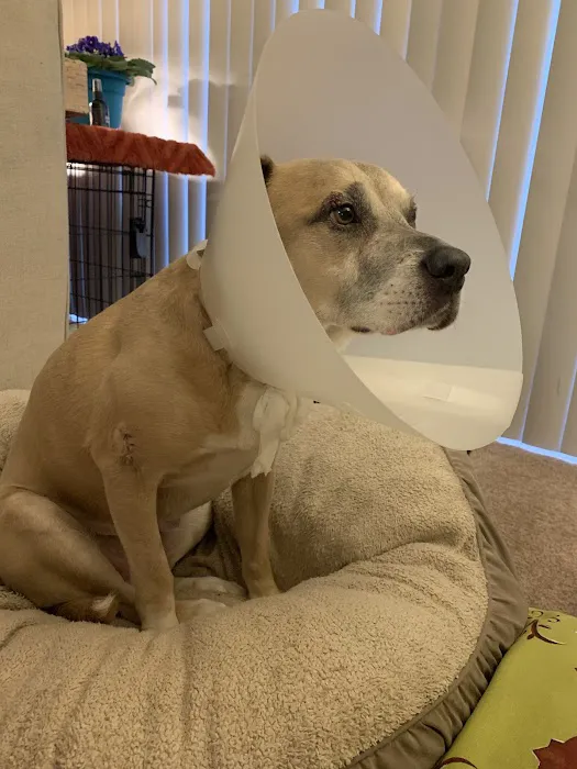 Fort Hill Animal Hospital 2