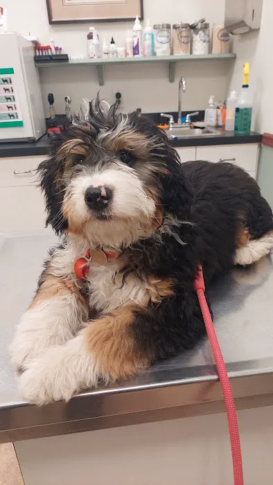 Harborside Veterinary Hospital 2