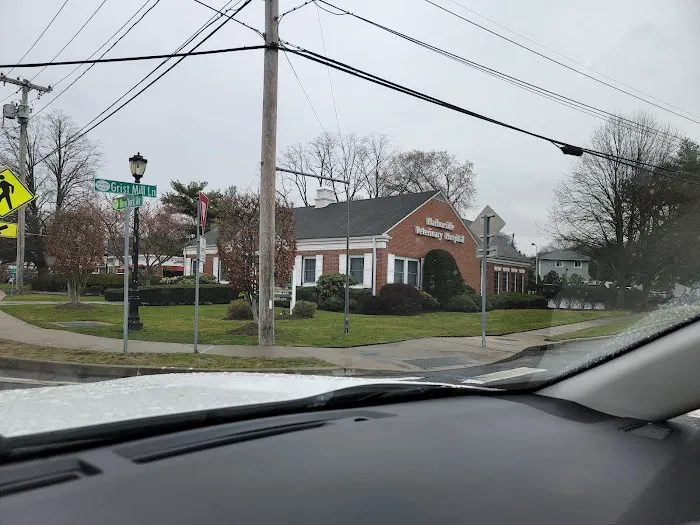 Harborside Veterinary Hospital 8