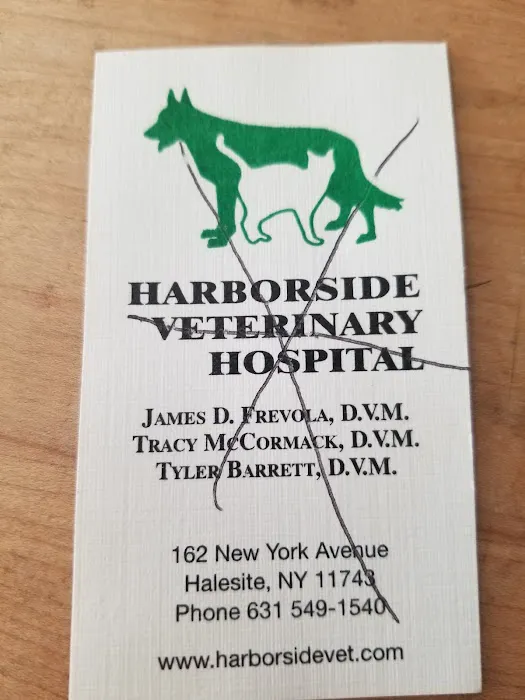 Harborside Veterinary Hospital 9