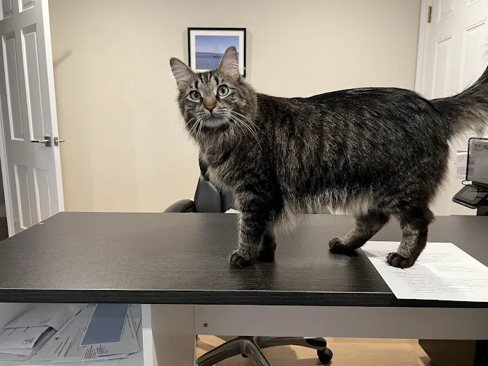 Harborside Veterinary Hospital 6