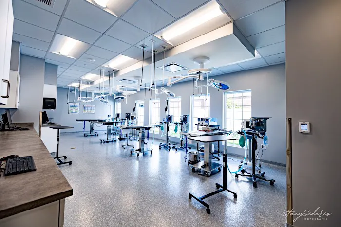 Veterinary Surgical Center of Long Island 9