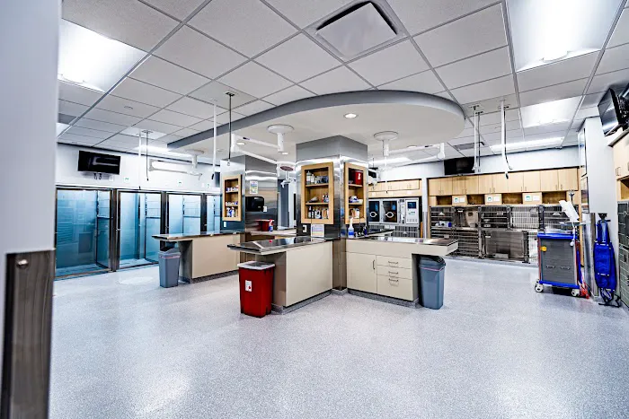Veterinary Surgical Center of Long Island 10