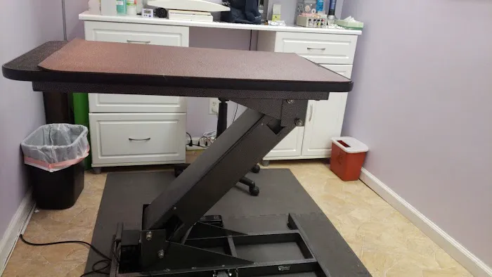Long Island Veterinary Acupuncture 1