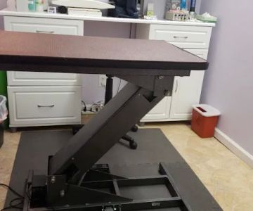 Long Island Veterinary Acupuncture