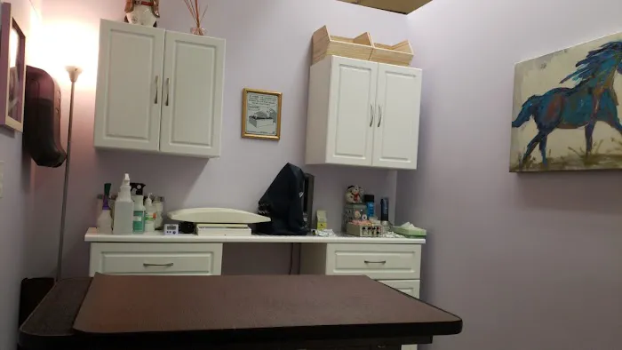Long Island Veterinary Acupuncture 7