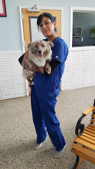 Massapequa Hospital for Animals, A Thrive Pet Healthcare Partner 6