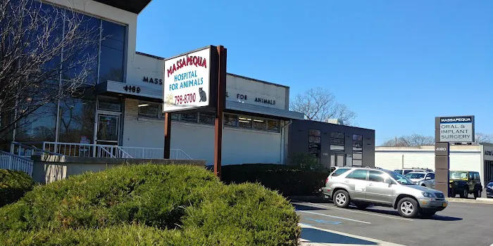 Massapequa Hospital for Animals, A Thrive Pet Healthcare Partner 10