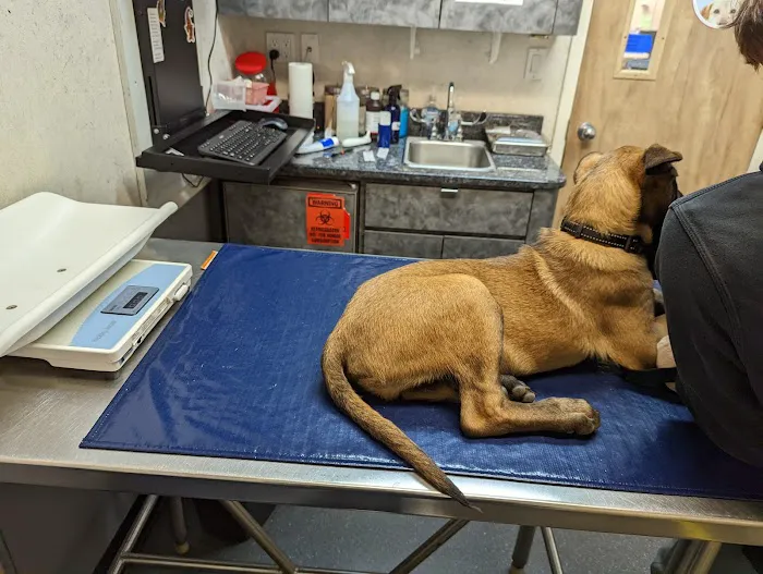 South Shore Animal Hospital 5
