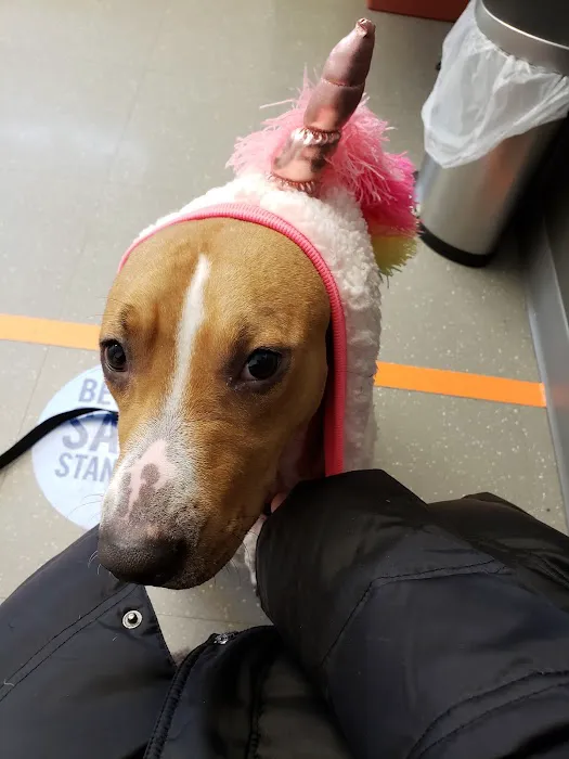 Nassau-Suffolk Animal Hospital 4