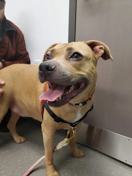 Nassau-Suffolk Animal Hospital 7