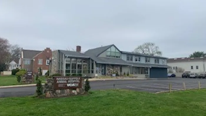 Nassau-Suffolk Animal Hospital 10