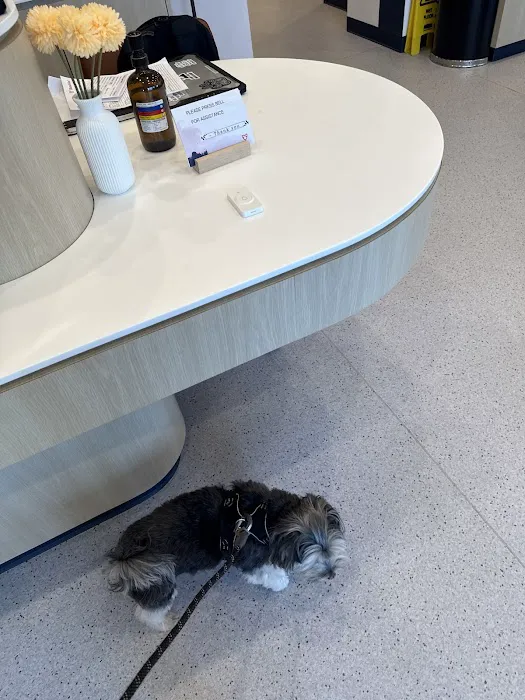 Bond Vet - Rye Brook 6
