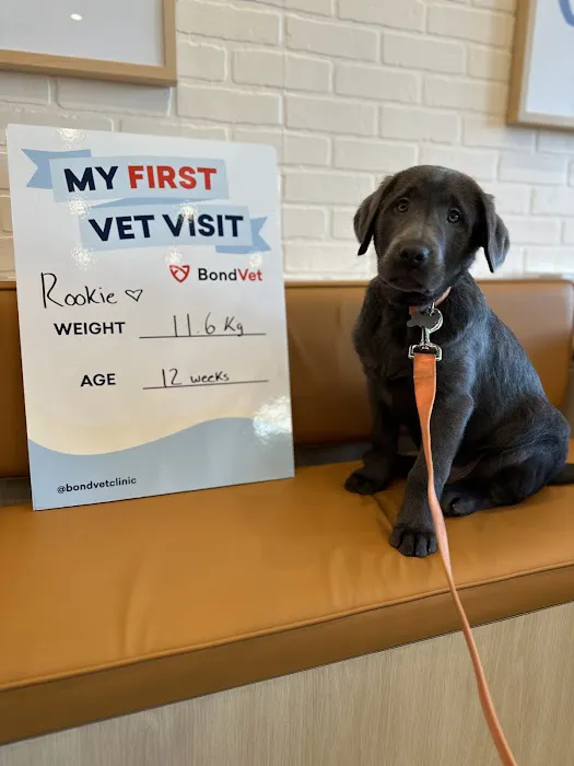 Bond Vet - Rye Brook 10