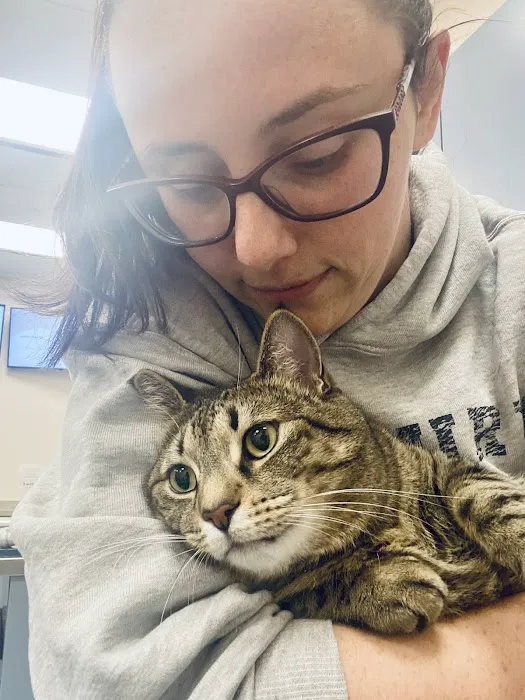 Bond Vet - Rye Brook 4